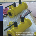 D. B. B Twin Ball Valve (Q43F)